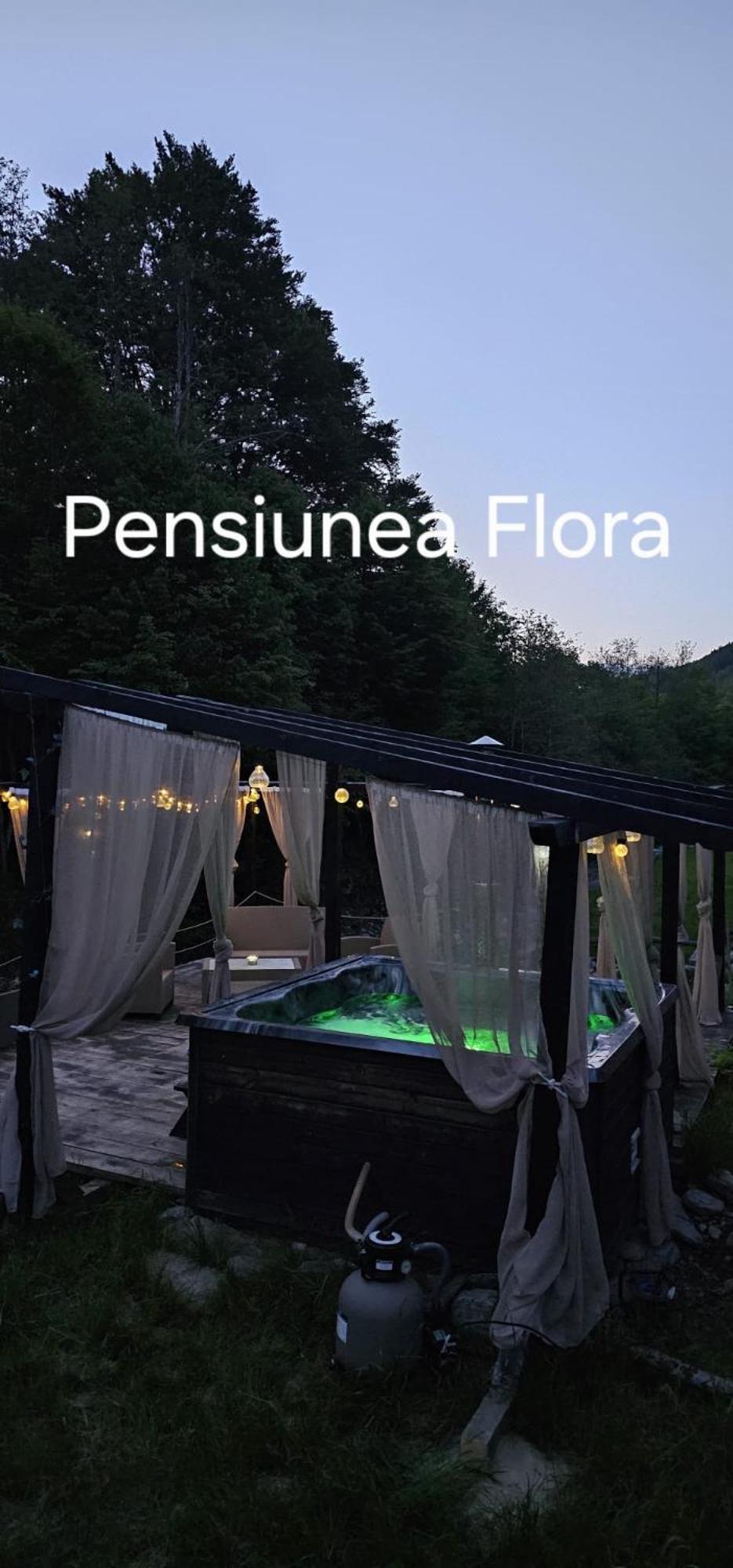Pensiunea Flora Cîrţişoara 外观 照片