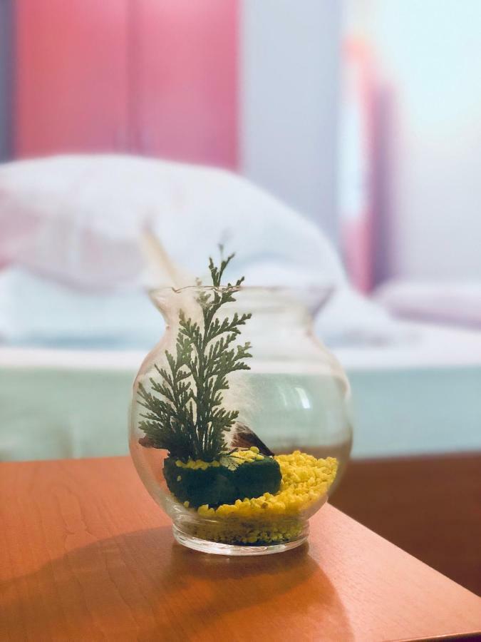Pensiunea Flora Cîrţişoara 外观 照片